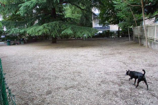 Divieto Di Cani Nei Parchi Difesa Animali E Contraria Riva Arco L Adige It