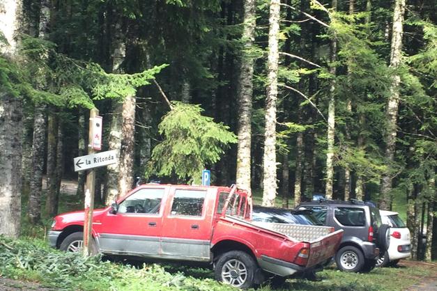 Auto con i vetri oscurati? Multa confermata, serve una verifica in  Motorizzazione - Cronaca