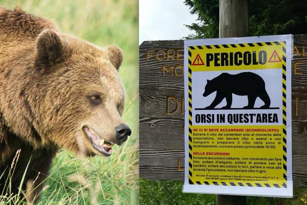 Cartellone A Caccia dell'orso  Caccia all'orso, Attività per