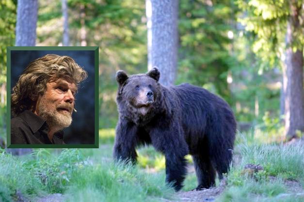 Messner: “Troppi orsi in Trentino, trasferiamoli in Siberia